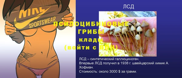 ПСИЛОЦИБИНОВЫЕ ГРИБЫ Строитель