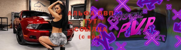 ПСИЛОЦИБИНОВЫЕ ГРИБЫ Строитель