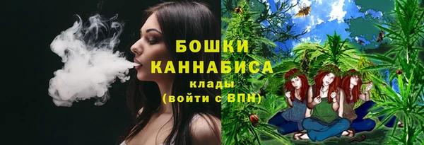 ПСИЛОЦИБИНОВЫЕ ГРИБЫ Строитель
