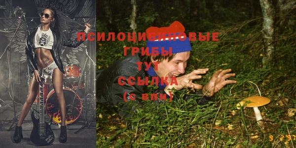 твердый Струнино